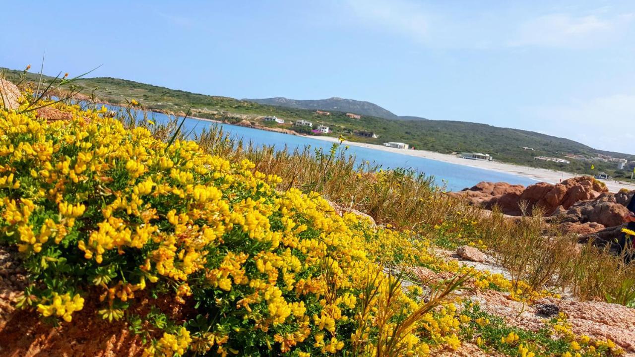 Casa Vacanza Costa Rossa vista mare Trinità dʼAgultu Esterno foto