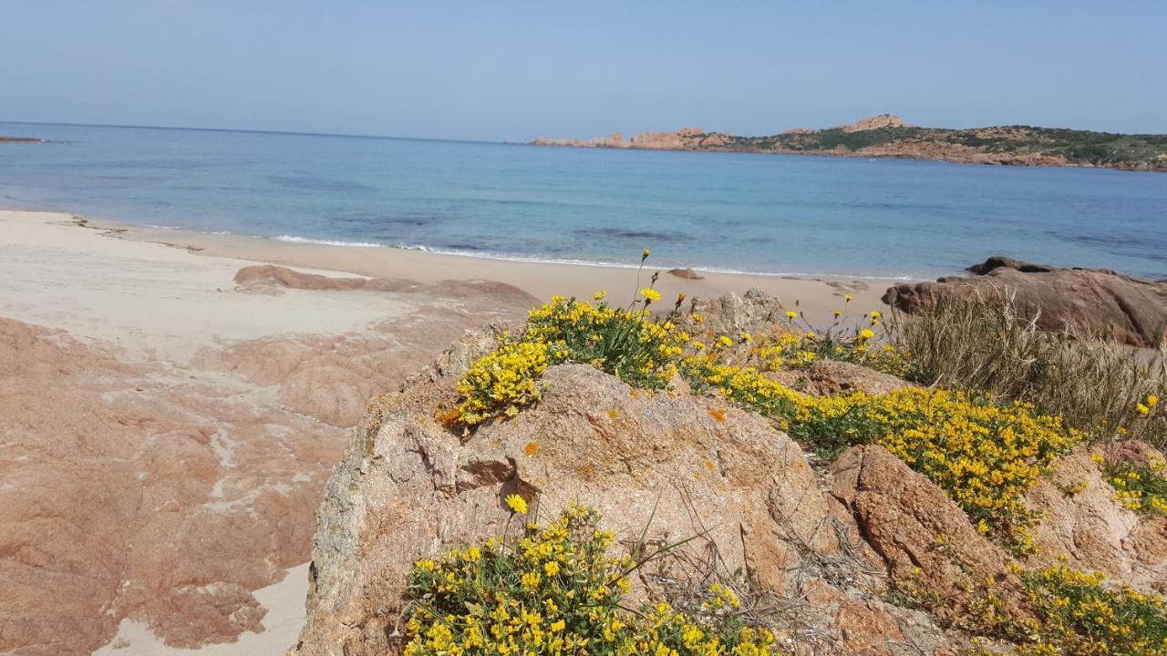 Casa Vacanza Costa Rossa vista mare Trinità dʼAgultu Esterno foto